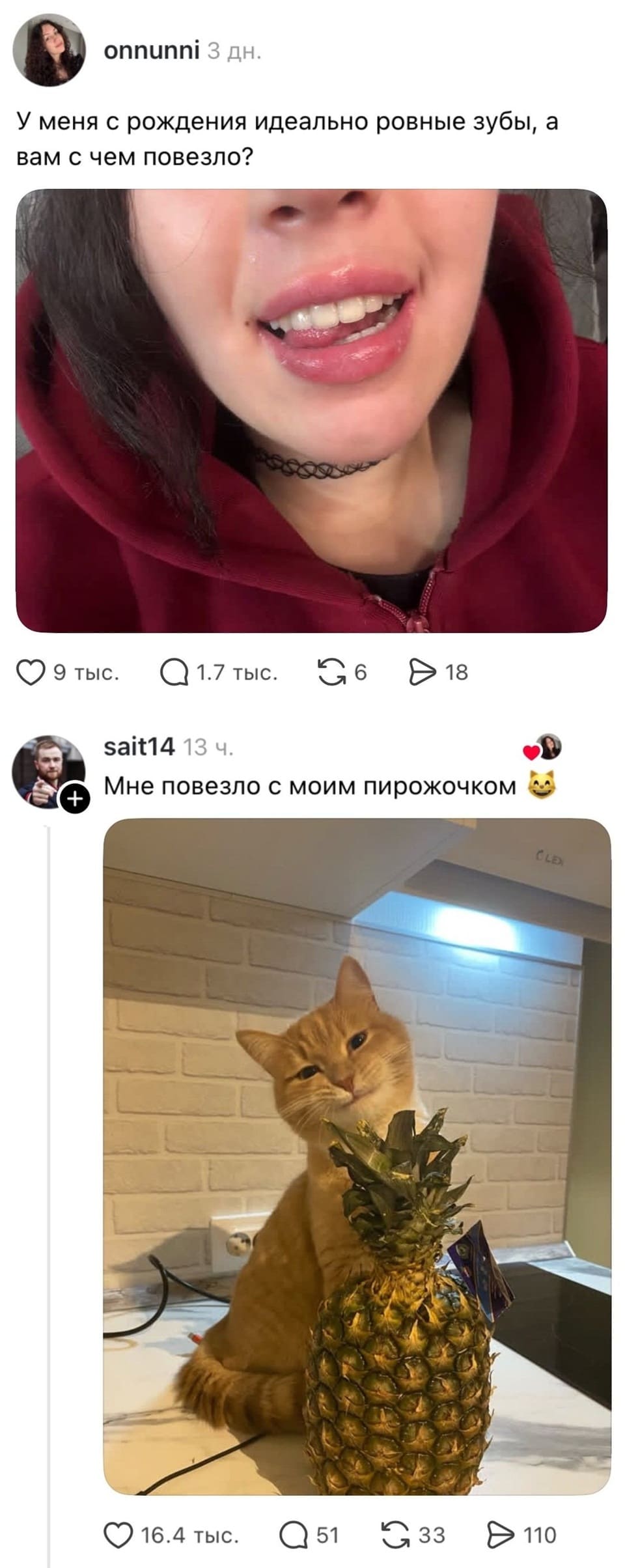 — У меня с рождения идеально ровные зубы, а вам с чем повезло? <br /> — Мне повезло с моим пирожочком. <br /> Описание картинки: <br /> Диалог о везении: одни гордятся зубами, другие — своим пирожочком.