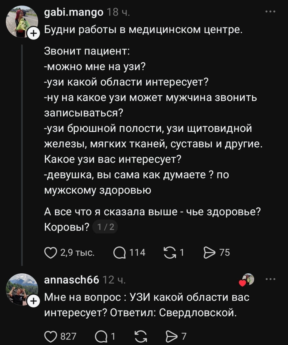 Будни работы в медицинском центре. Звонит пациент: -можно мне на узи? -узи какой области интересует? -ну на какое узи может мужчина звонить записываться? -узи брюшной полости, узи щитовидной железы, мягких тканей, суставы и другие. Какое узи вас интересует? -девушка, вы сама как думаете? по мужскому здоровью А все что я сказала выше — чье здоровье? Коровы? <br />Мне на вопрос: УЗИ какой области вас интересует? Ответил: Свердловской. <br />Описание картинки: <br />Диалог по телефону между регистратором медцентра и пациентом об УЗИ.