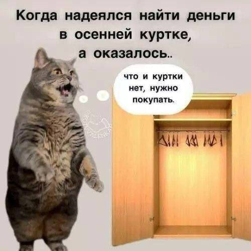 Когда надеялся найти деньги в осенней куртке, а оказалось.. <br />Что и куртки нет, нужно покупать. <br /><br />Описание картинки: <br />Проверка осенней куртки приводит к неожиданным расходам. | Жизненное