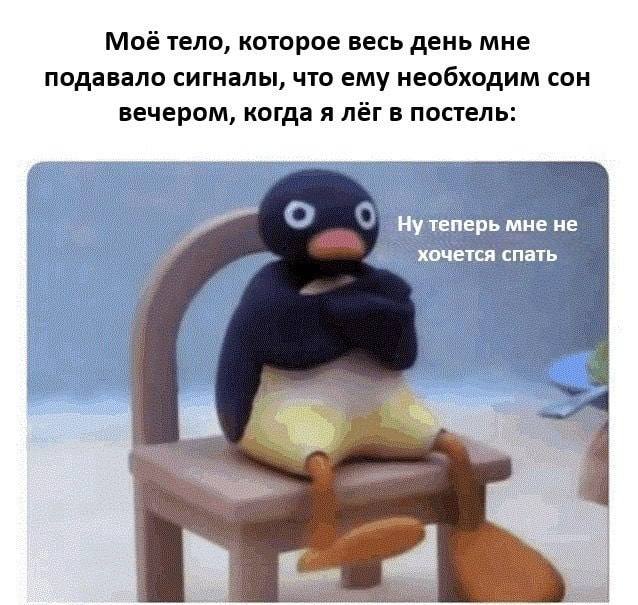Моё тело, которое весь день мне подавало сигналы, что ему необходим сон вечером, когда я лёг в постель: 
Ну теперь мне не хочется спать 
Описание картинки: 
Человек, его тело, желание спать, отказ от сна вечером. | Жизненное