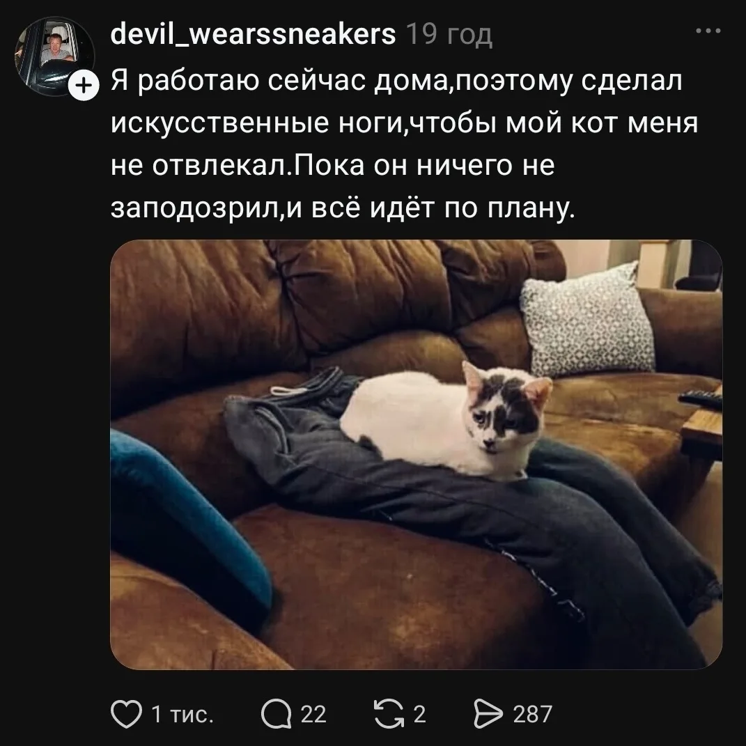 Я работаю сейчас дома, поэтому сделал искусственные ноги, чтобы мой кот меня не отвлекал. Пока он ничего не заподозрил, и всё идёт по плану.

Описание картинки:
Мужчина работает дома и создал искусственные ноги, чтобы не отвлекать кота.