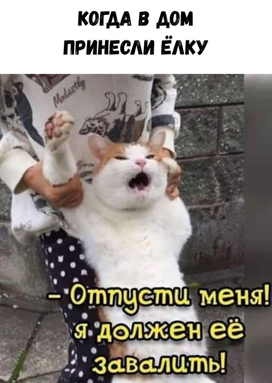 КОГДА В ДОМ ПРИНЕСЛИ ЁЛКУ:
— Отпусти меня! Я должен её завалить!
Описание картинки:
Мужчина пытается справиться с ёлкой в доме.