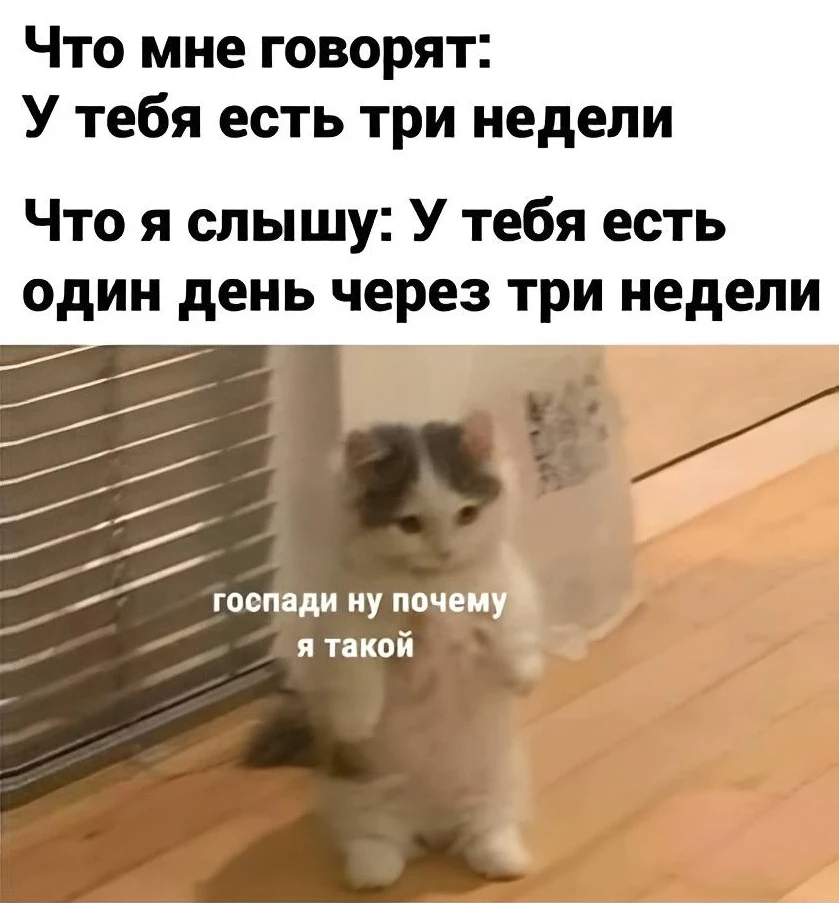Что мне говорят: У тебя есть три недели Что я слышу: У тебя есть один день через три недели госпади ну почему я такой
Описание картинки:
Восприятие сроков: три недели против одного дня.