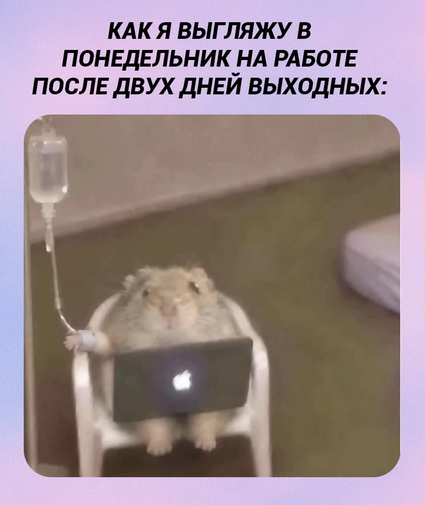 КАК Я ВЫГЛЯЖУ В ПОНЕДЕЛЬНИК НА РАБОТЕ ПОСЛЕ ДВУХ ДНЕЙ ВЫХОДНЫХ:
Описание картинки:
Текст про ощущение усталости и зомби-состояния в понедельник после выходных. | Работа