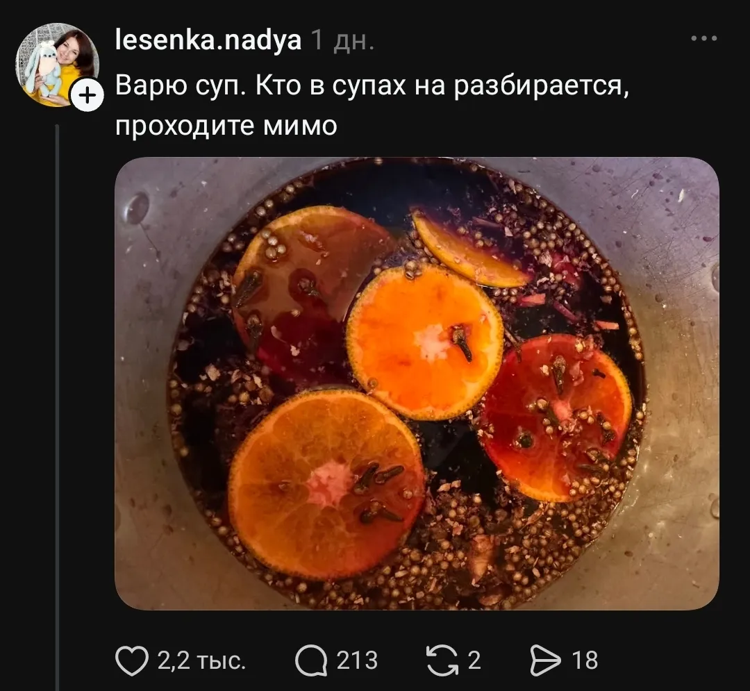 Lesenka. nadya 1 дн. <br /> Варю суп. Кто в супах на разбирается, проходите мимо <br /> Описание картинки: <br /> Надя варит суп и шутит о кулинарных экспертах.