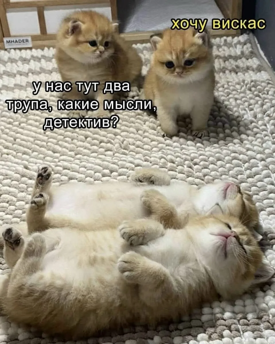 Хочу вискас у нас тут два трупа, какие мысли, детектив?
Описание картинки:
Детектив расследует преступление, но его отвлекает вопрос о вискасе.