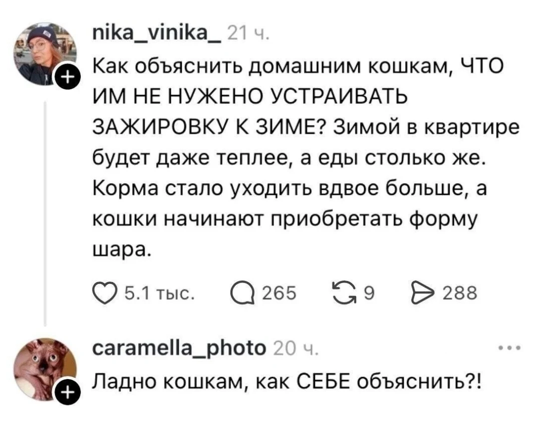 Как объяснить домашним кошкам, ЧТО ИМ НЕ НУЖЕНО УСТРАИВАТЬ ЗАЖИРОВКУ К ЗИМЕ? Зимой в квартире будет даже теплее, а еды столько же. Корма стало уходить вдвое больше, а кошки начинают приобретать форму шара.
Ладно кошкам, как СЕБЕ объяснить!
Описание картинки:
Хозяин беспокоится, что кошки набирают вес, и переживает за себя.