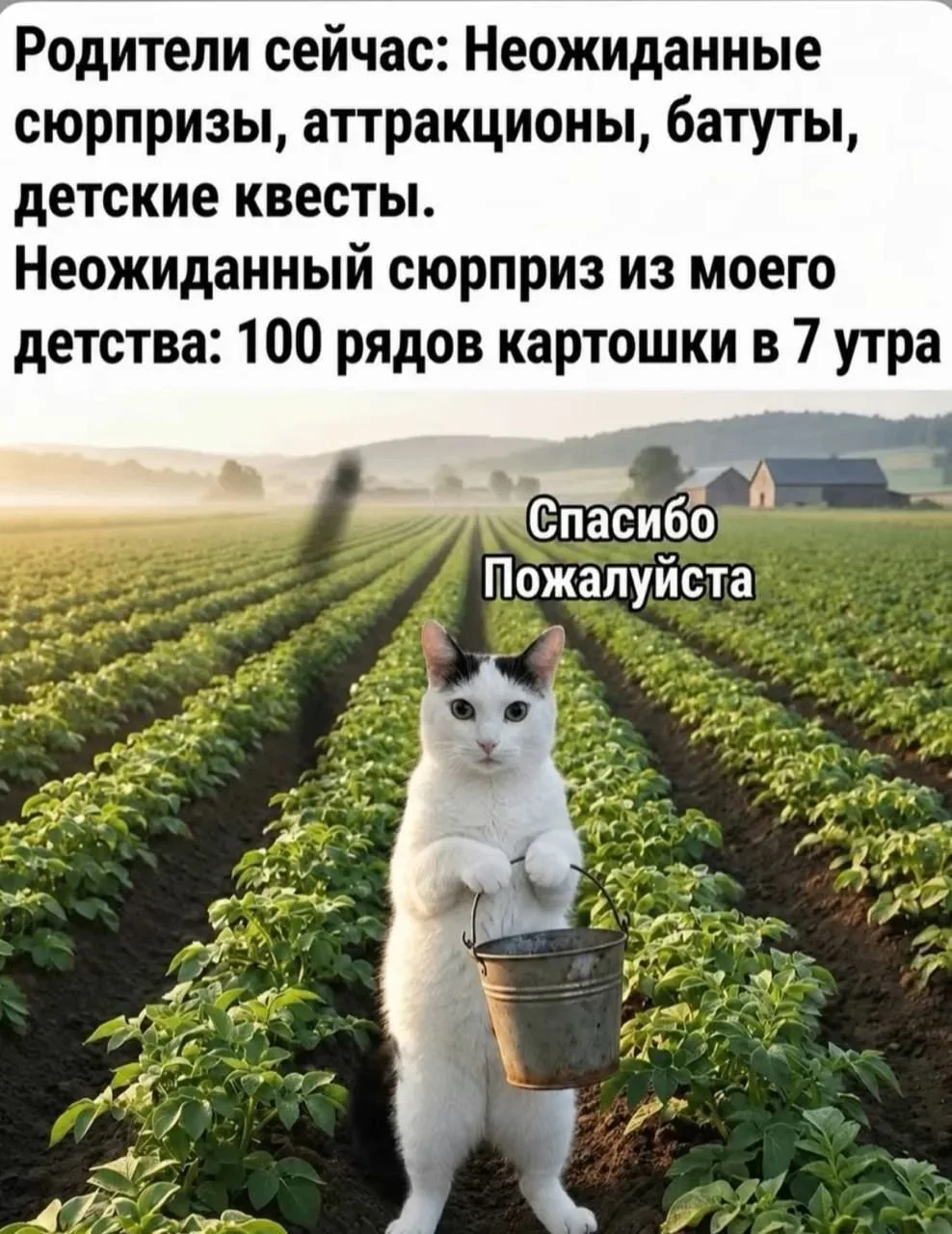 Родители сейчас: Неожиданные сюрпризы, аттракционы, батуты, детские квесты. Неожиданный сюрприз из моего детства: 100 рядов картошки в 7 утра Спасибо Пожалуйста <br />Описание картинки: <br />Родители сравнивают детские развлечения с трудом на огороде.