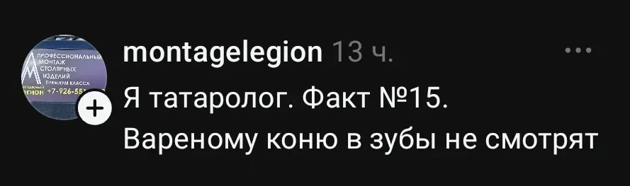 Я татаролог. Факт №15. <br /> Вареному коню в зубы не смотрят <br /> Описание картинки: <br /> Текст из двух предложений. Первое – о профессии, второе – поговорка.