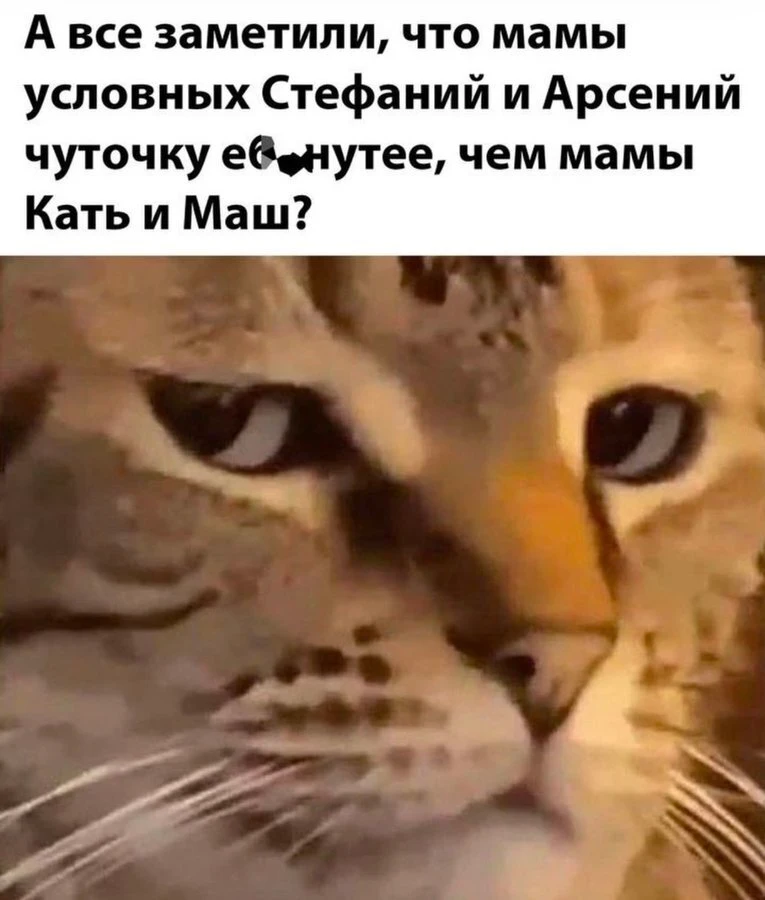 А все заметили, что мамы условных Стефаний и Арсений чуточку еб*нутее, чем мамы Кать и Маш? <br />Описание картинки: <br />Сравнение мам с обычными и необычными именами.
