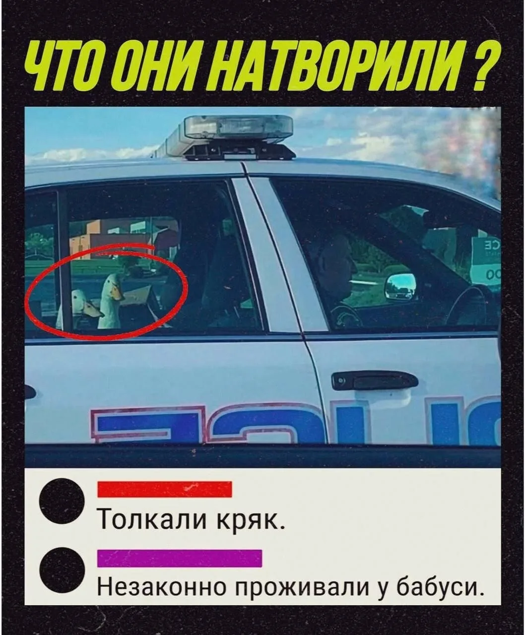 ЧТО ОНИ НАТВОРИЛИ?
Толкали кряк.
Незаконно проживали у бабуси.
Описание картинки:
Два человека незаконно живут у бабушки, толкают кряк.