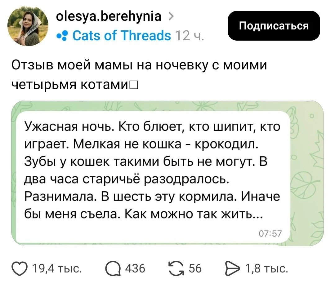 Ночь с крокодилами: кто кого съест? 🐊 | Животные