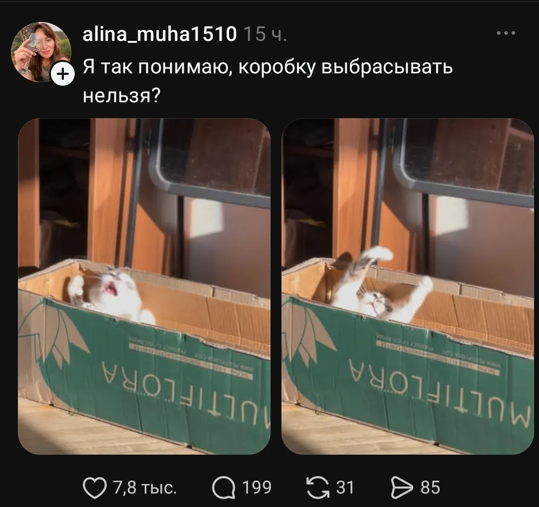 Я так понимаю, коробку выбрасывать нельзя?
Описание картинки:
Фраза о невозможности выбросить коробку.