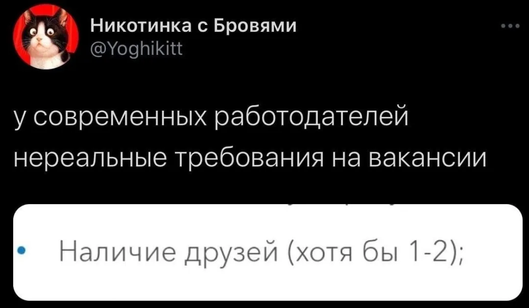 Никотинка с Бровями у современных работодателей нереальные требования на вакансии Наличие друзей (хотя бы 1-2);
Описание картинки:
Текст про нереальные требования работодателей к соискателям.