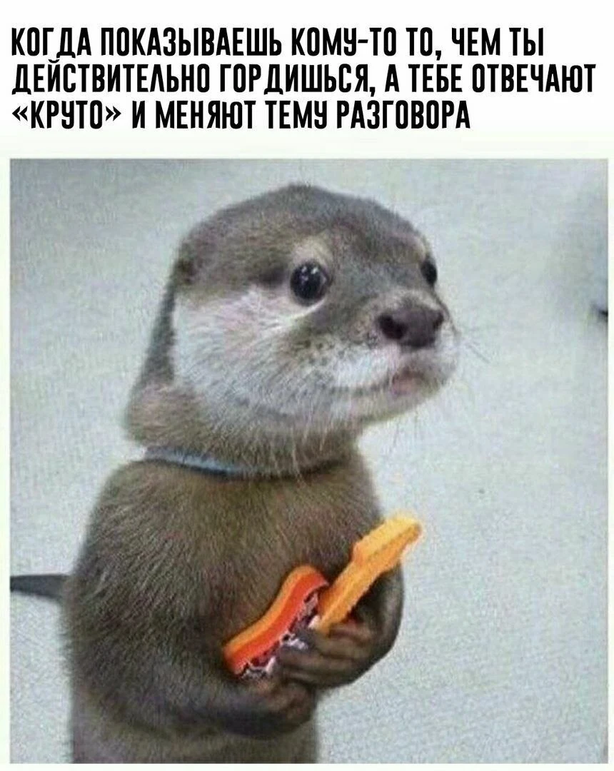 Гордость и невнимание | Жизненное